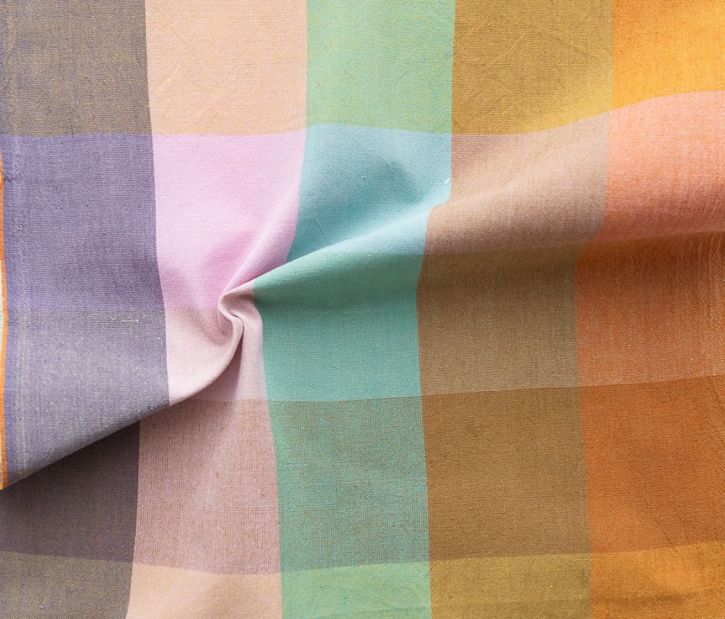 CSW01 Superbloom Happy Place Checkers Canyon Springs by Fableism Fabrics