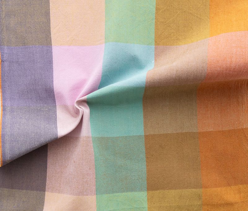 CSW01 Superbloom Happy Place Checkers Canyon Springs by Fableism Fabrics