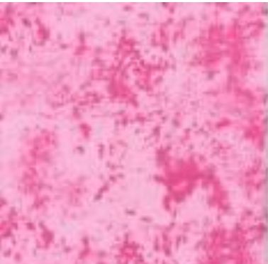 Pink Flannel by Mook Fabrics