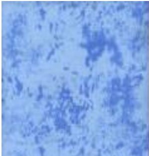 Light Blue Flannel by Mook Fabrics