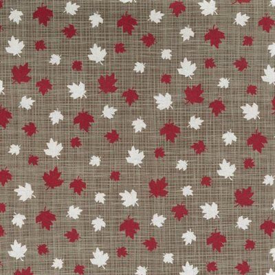 True North 2 by Kate &amp; Birdie Paper Co. 513212-16