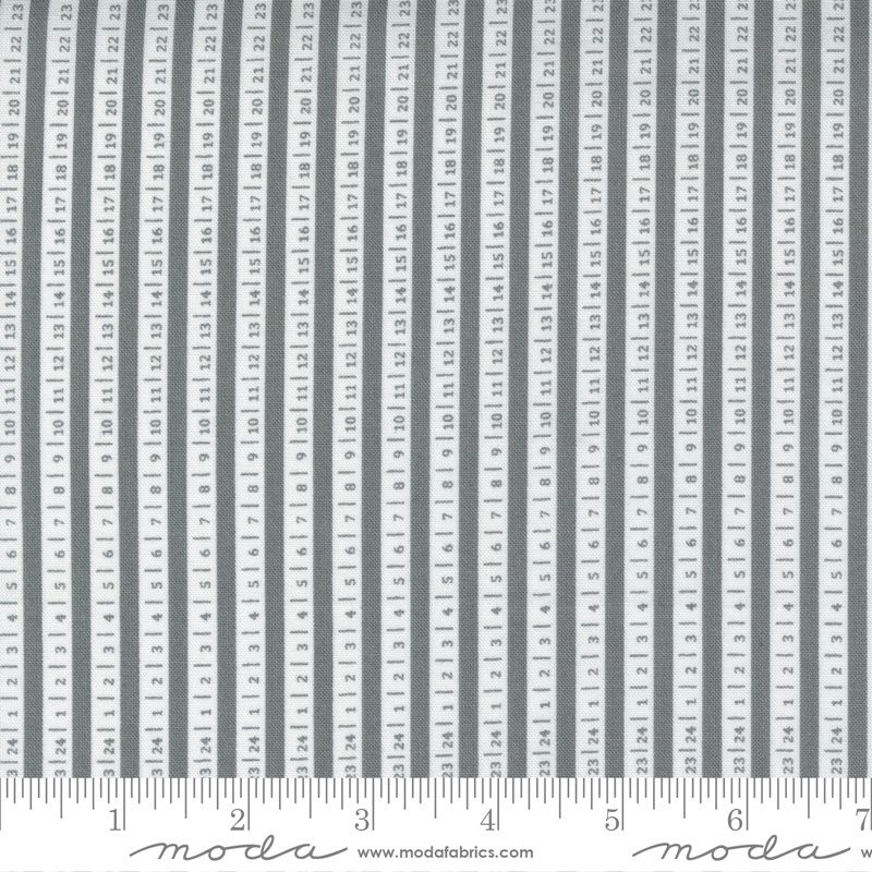 Beautiful Day in Ticker Tape Slate by Corey Yoder for Moda Fabrics