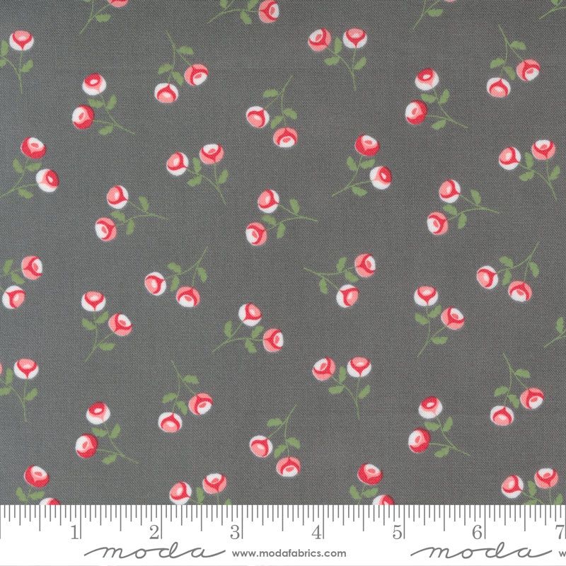 Beautiful Day 29133-14 by Corey Yoder for Moda Fabrics