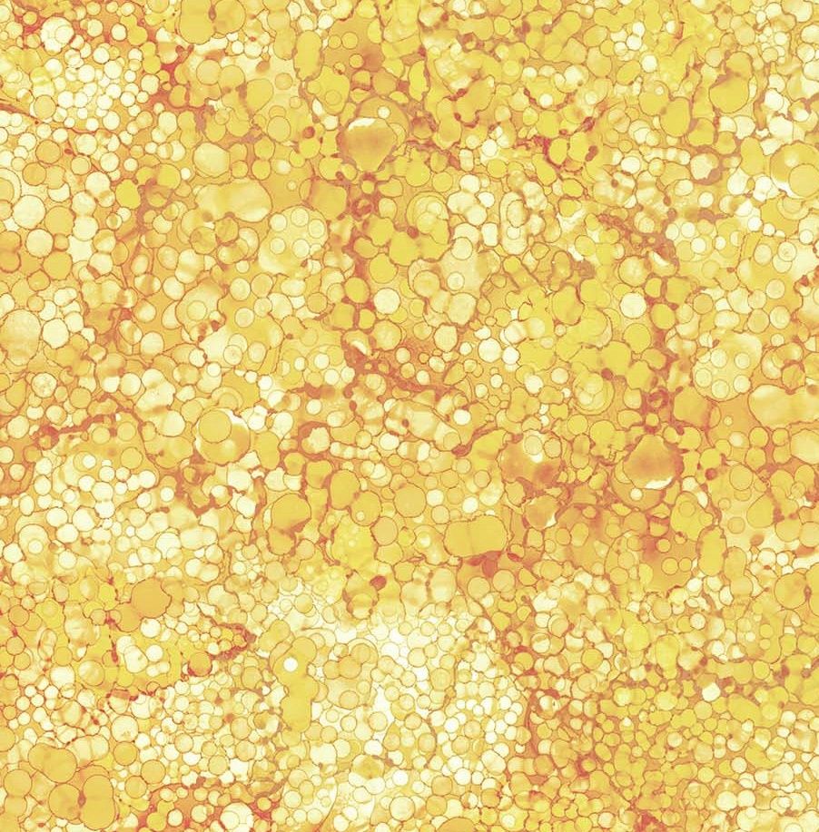 Bliss Basics in Sunshine by Northcott Fabrics