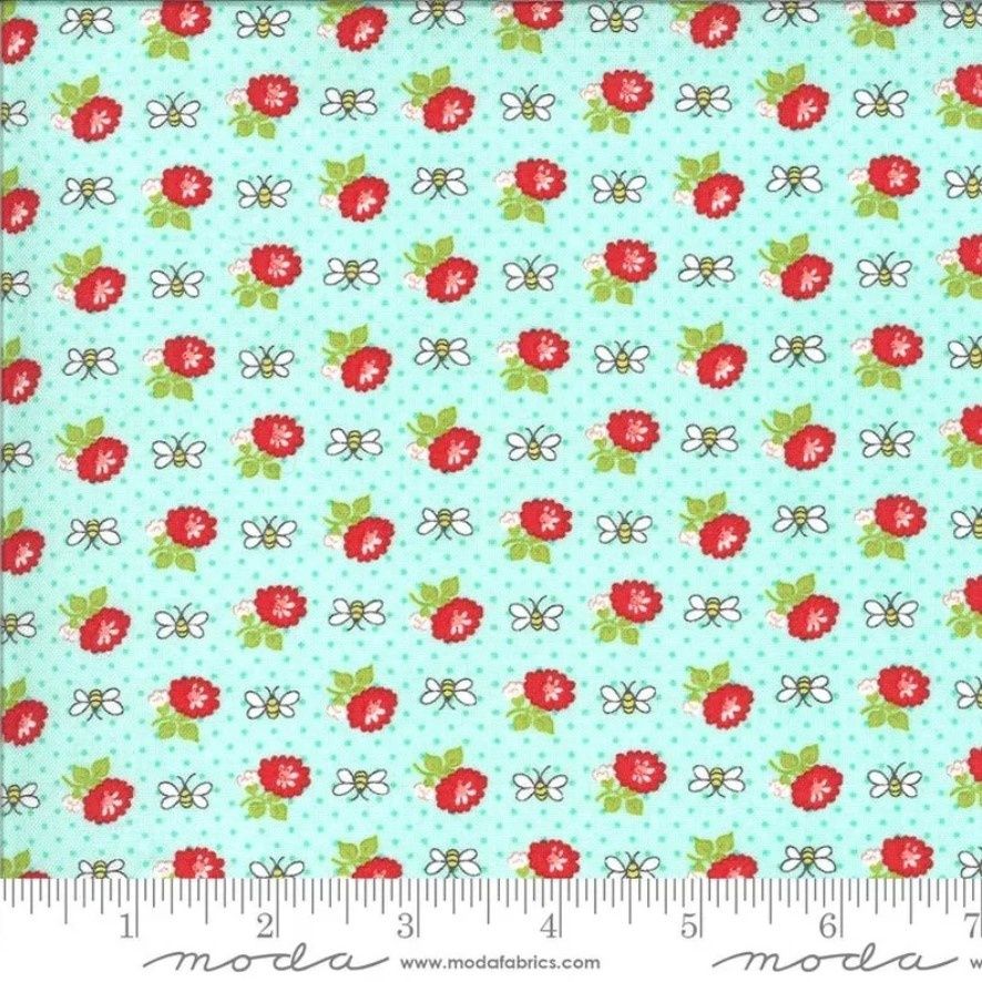 Clearance - Shine On Beesley in Aqua by Bonnie &amp; Camille for Moda Fabrics