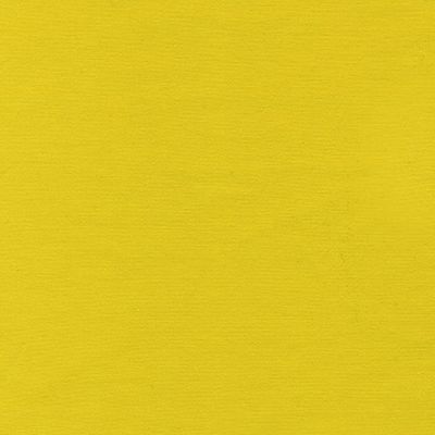 Laguna Cotton Jersey by Robert Kaufman Fabrics