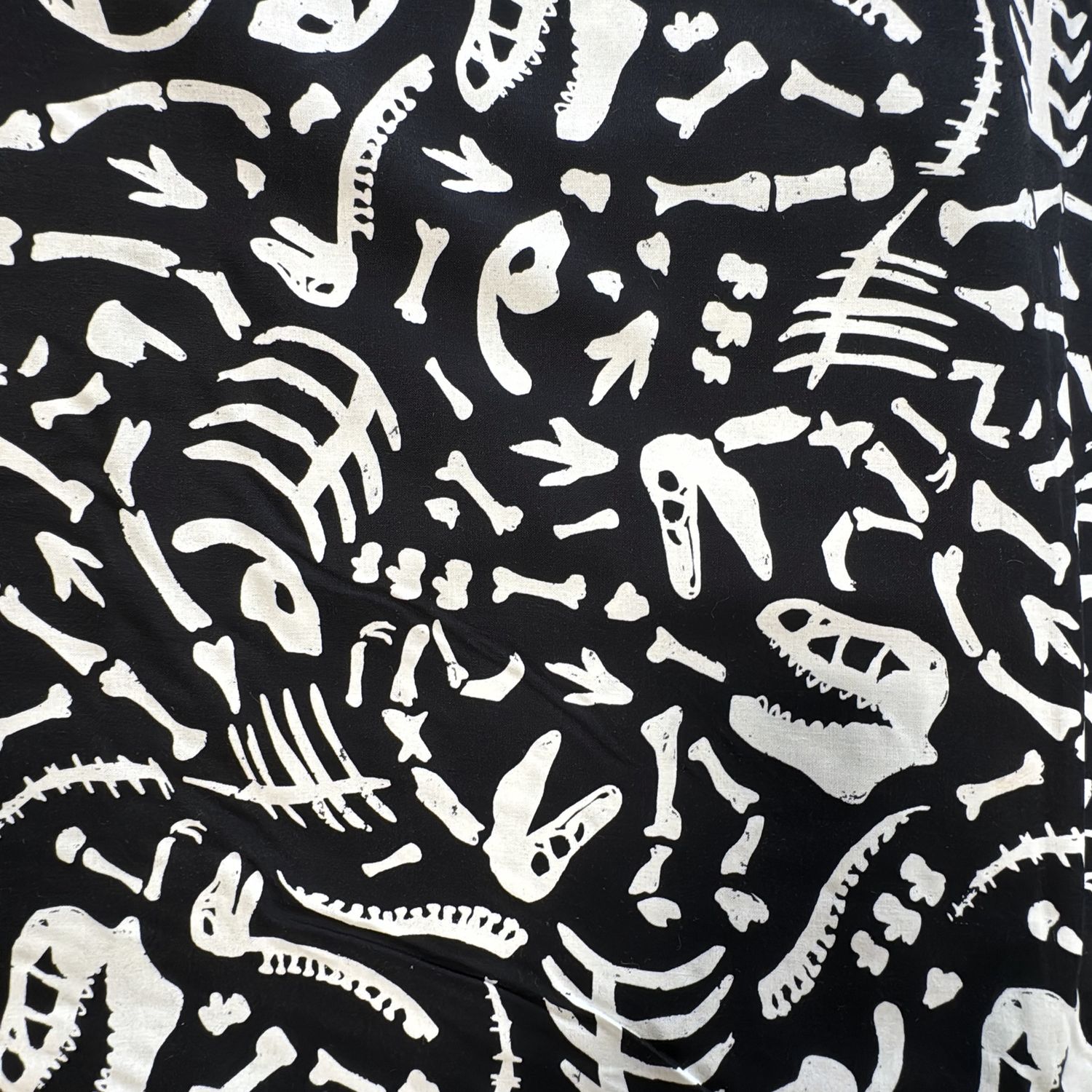 Dino Adventure - Glow-in-the-Dark for Timeless Treasures