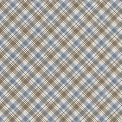 Y4372-141 Wildwood in Slate by Beth Grove for Clothworks