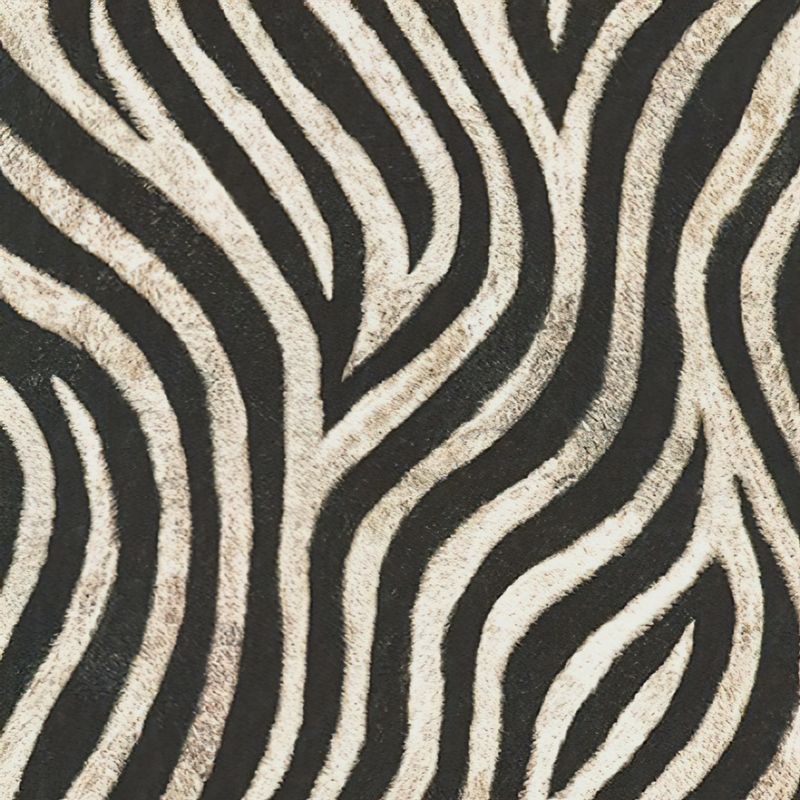 Animal Kingdom Zebra Print in Wild by Robert Kaufman Fabrics Bolt End