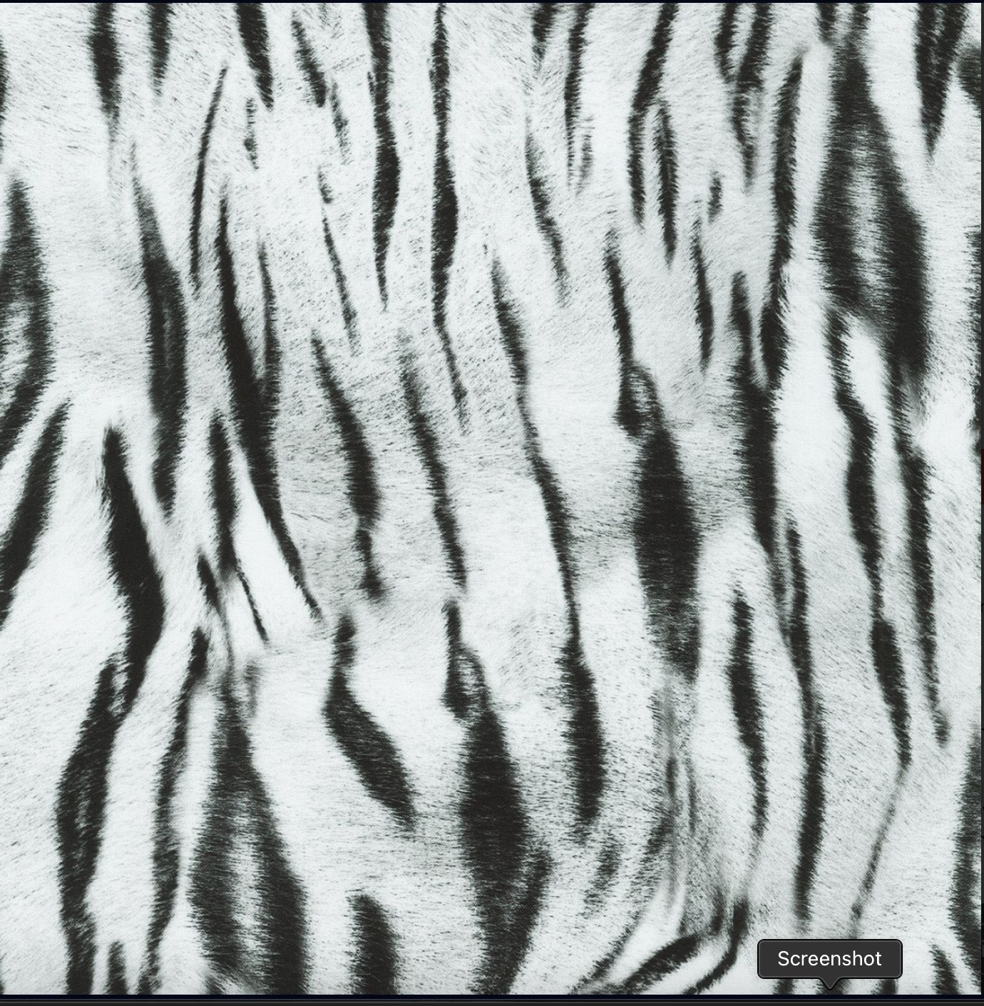 Animal Kingdom Zebra Print in Snow by Robert Kaufman Fabrics Bolt End