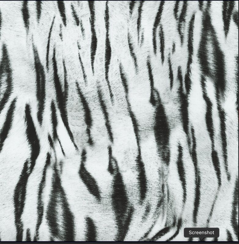 Animal Kingdom Zebra Print in Snow by Robert Kaufman Fabrics Bolt End