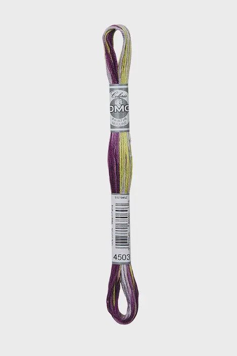 4503 Iris Bouquet - DMC #517 Coloris Floss - 8m