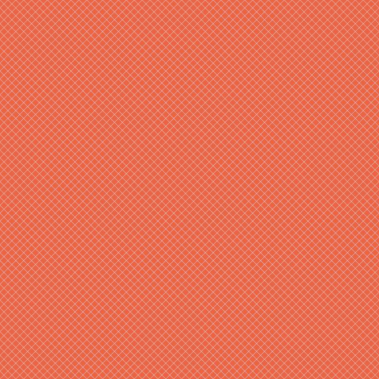 True Colors On the Grid in Salmon by Tula Pink