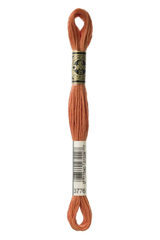 3776 Nut Brittle DMC #117 6 Strand Embroidery Floss - 8m