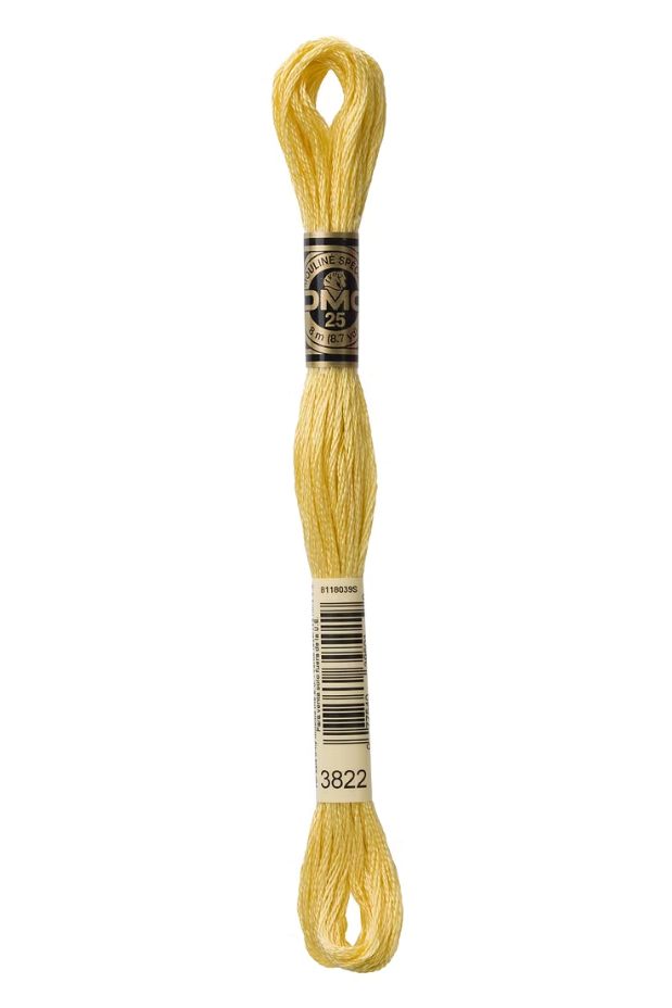 3822 Corn Husk DMC #117 6 Strand Embroidery Floss - 8m