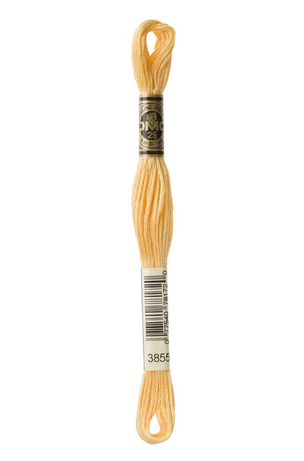 3855 Desert Winds DMC #117 6 Strand Embroidery Floss - 8m