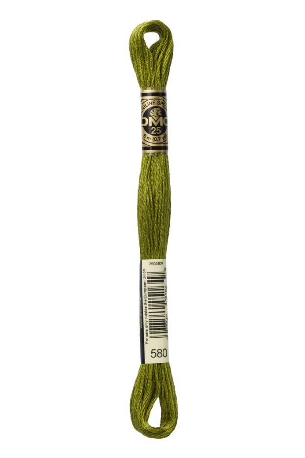 580 Cactus DMC #117 6 Strand Embroidery Floss - 8m