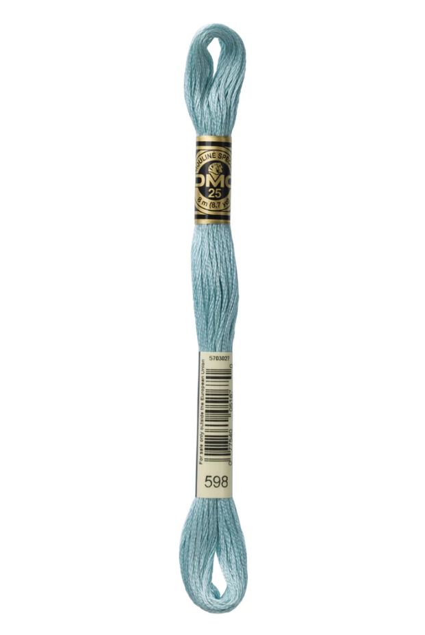 598 Pale Lagoon DMC #117 6 Strand Embroidery Floss - 8m