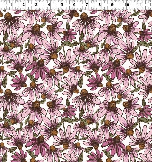Coneflower Corral Echinacea in White by Teresa Magnuson