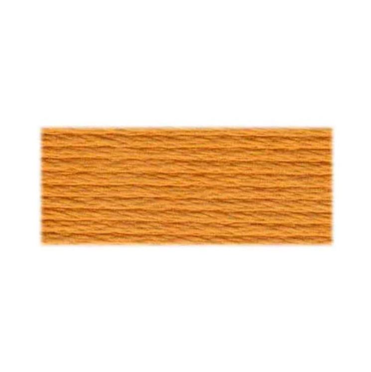 977 Caramel DMC #117 6 Strand Embroidery Floss - 8m