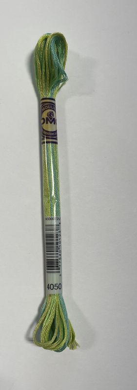 4050 Kismet DMC #417F Colour Variations Floss - 8m