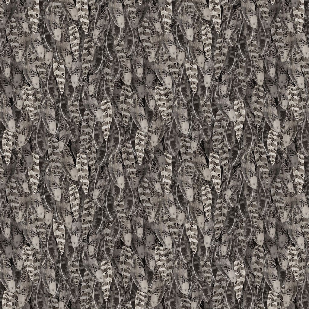 Night Whispers Feathers in Dark Grey by Lexi Grenzer for Clothworks Y4675-7