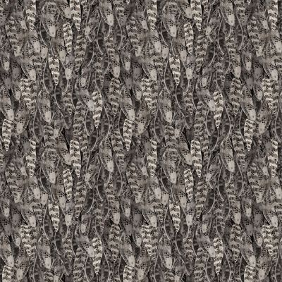 Night Whispers Feathers in Dark Grey by Lexi Grenzer for Clothworks Y4675-7