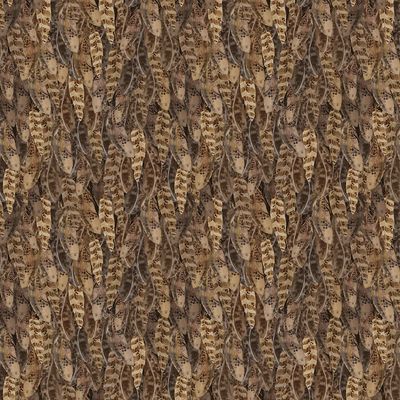 Night Whispers Feathers in Dark Caramel by Lexi Grenzer for Clothworks Y4675-66