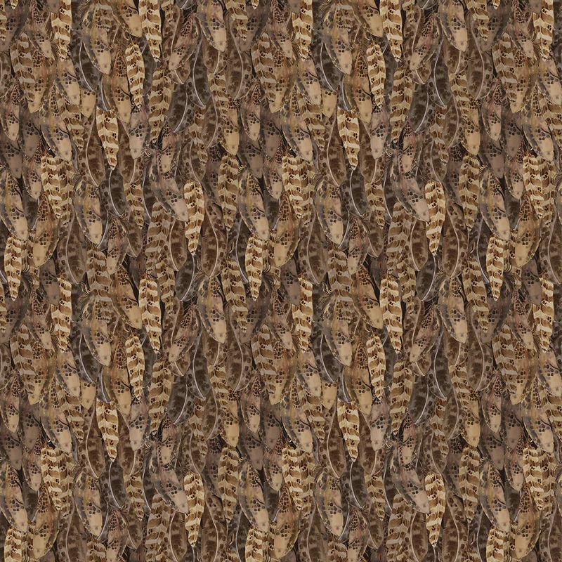 Night Whispers Feathers in Dark Caramel by Lexi Grenzer for Clothworks Y4675-66