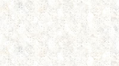 Misty Morning Birds in White by Northcott