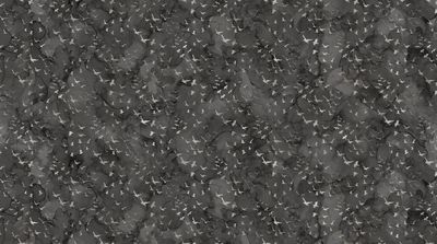 Misty Morning Birds in Black by Northcott