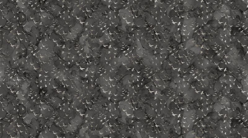 Misty Morning Birds in Black by Northcott DP28651-99