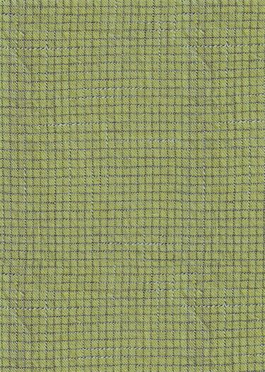 Intervals Small Check in Lime by Ghazal Razavi for Figo W91101-70