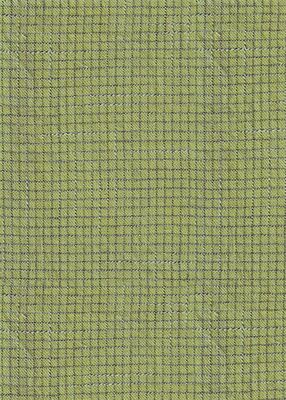 Intervals Small Check in Lime by Ghazal Razavi for Figo W91101-70