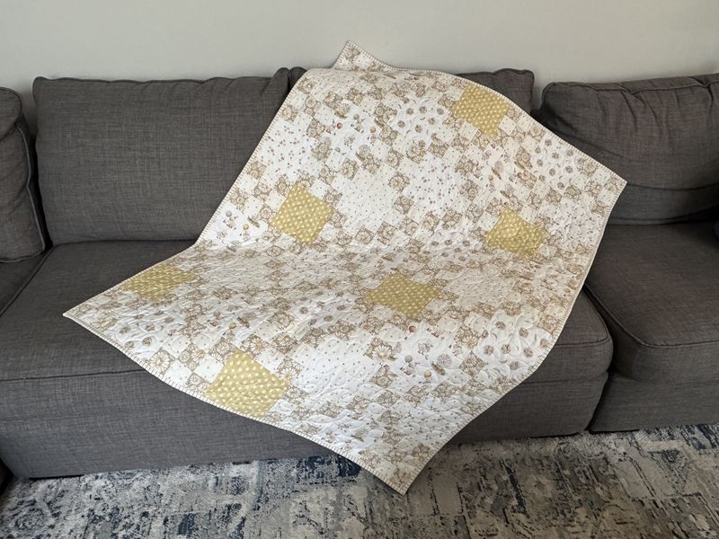 Daisies and Duckies - Nine Plus One Crib Quilt Kit (42" x 54")