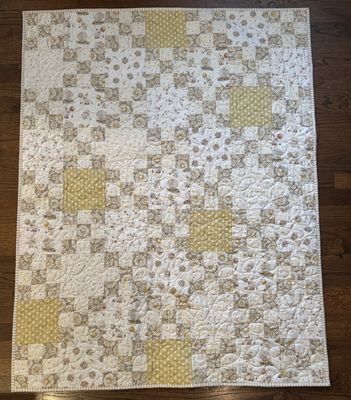 Daisies and Duckies - Nine Plus One Crib Quilt Kit (42" x 54")