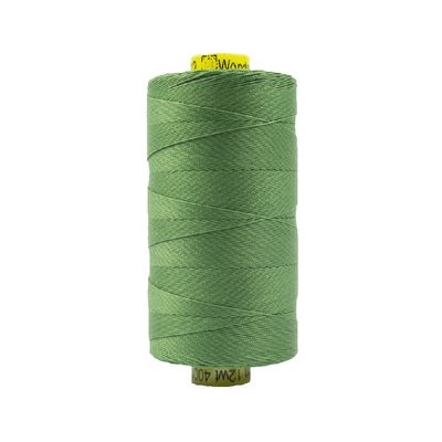 12 - 12wt Cotton Spagetti 400m - Medium Fern Green by Wonderfil