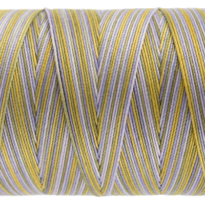 14 - Fruitti 12wt Cotton 400m - Spring by Wonderfil