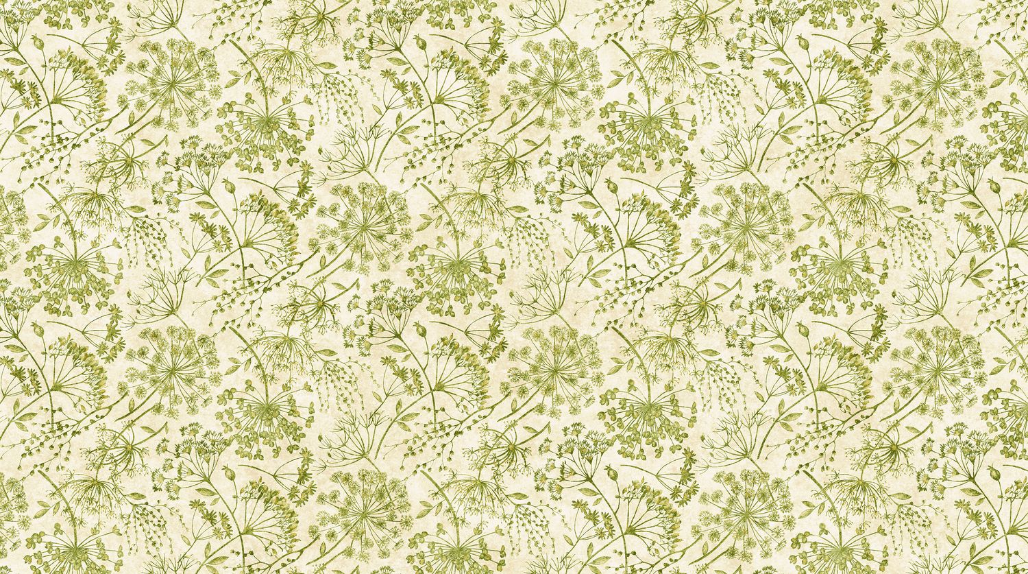 Stonehenge Organics | Queen Anne's La in Cream/Green 29309-72 | by Linda Ludovico for Northcott