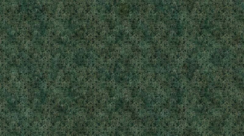 Altitude | Cedar Sprigs in Dark Green DP29159-79 | By Deborah Edwards and Melanie Samra for Northcott