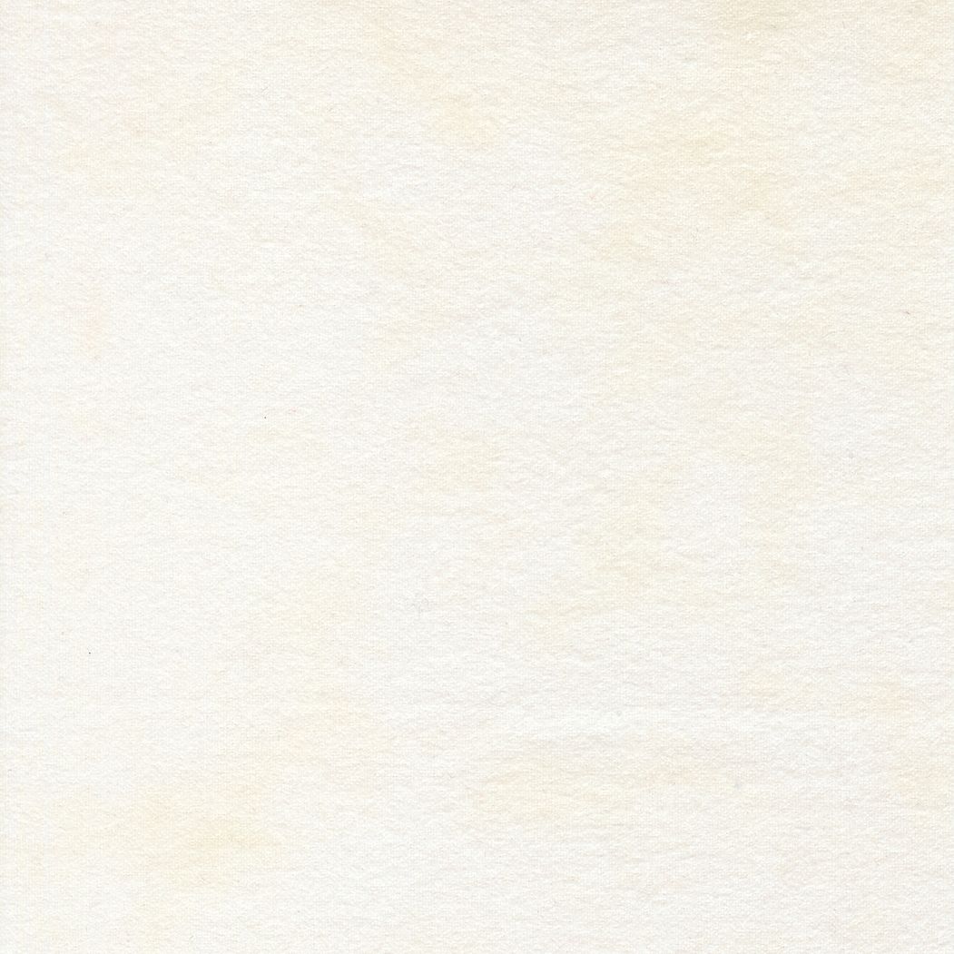 Flannel Gatherings Basics | Primitive Muslin in Cloud 1040-91F | by Primitive Gatherings for Moda
