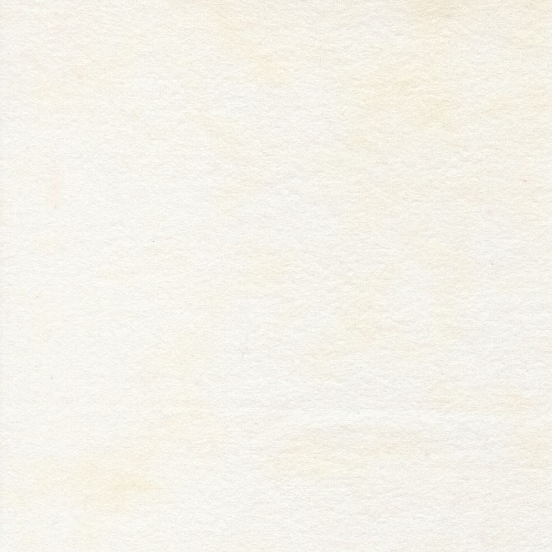 Flannel Gatherings Basics | Primitive Muslin in Cloud 1040-91F | by Primitive Gatherings for Moda