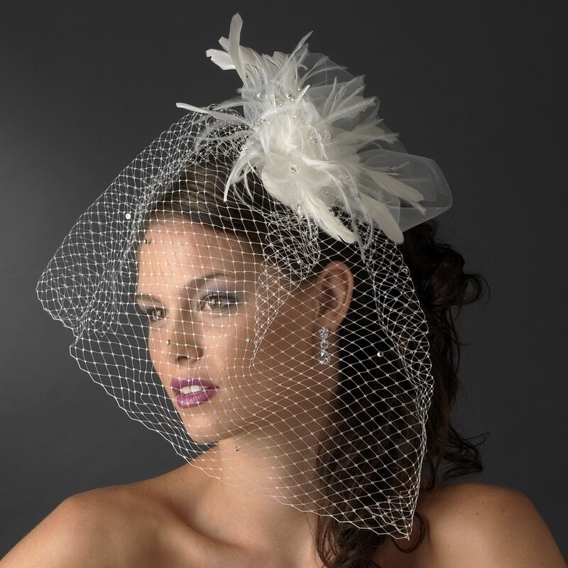 Stunning Birdcage Veil