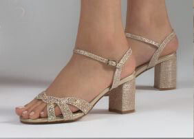 *Ivy &#39;Champagne&#39;
