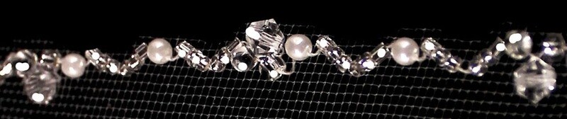 Flower Girl veil with crystals & pearls
