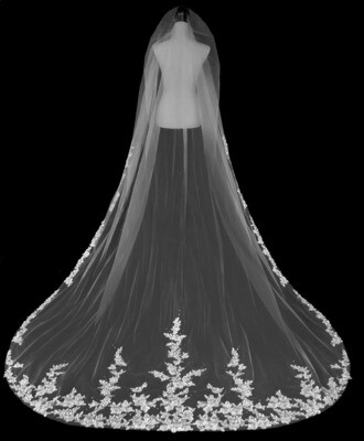 Beautiful Cathedral Veil
