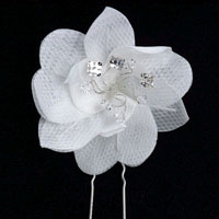 SMALL AND DAINTY FLOWER