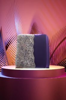 Royalty in Purple: Exquisite Photo Album