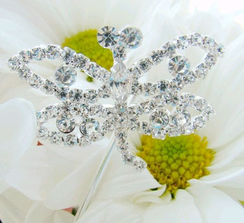 CRYSTAL DRAGONFLY