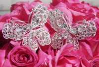 LARGE CRYSTAL BUTTERFLY